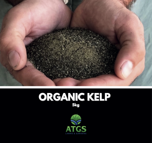 Screenshot 2026-04-12 at 7.16.20 PM